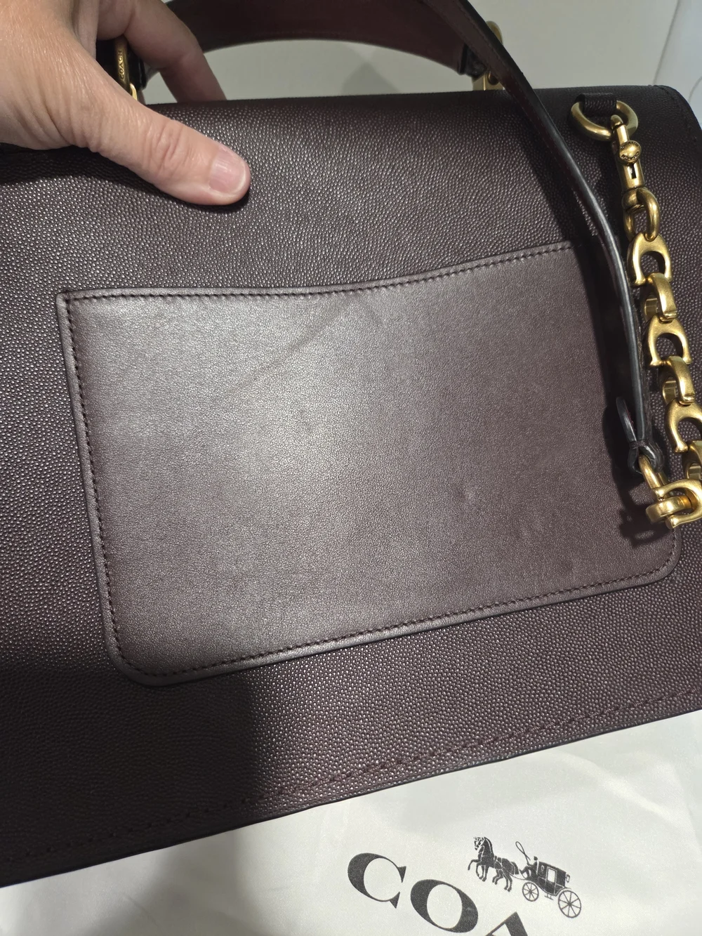 Coach Parker Colorblock with Snakeskin handle and strap